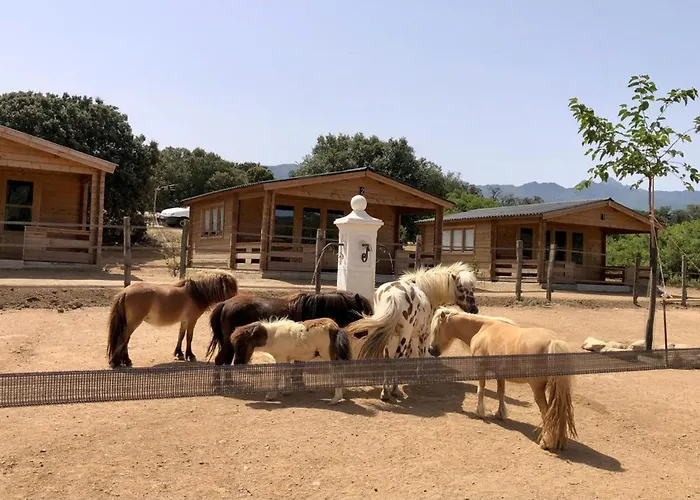 Les De Tesa 3 住宿加早餐酒店 3*